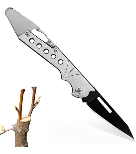 Couteau à Greffer Due Buoi 227L FX - Lame Fixe Acier Carbone Extra Dur, Manche Bois Main Droite