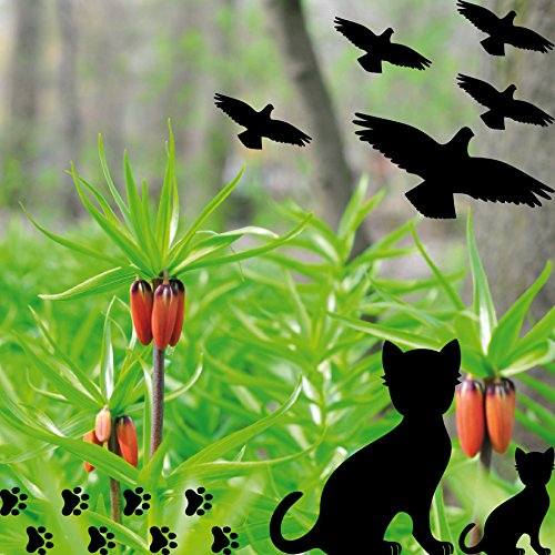 Set 15 Teile Vogel Vögel Katze Katzen Pfötchen Aufkleber die cut Tattoo Warnvögel Fenster Schutz gegen Vogelschlag Deko Folie (schwarz) - 2