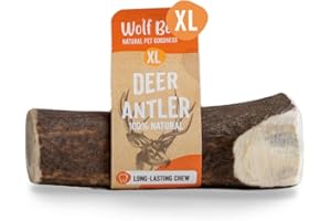WOLF BELLY NATURAL PET GOODNESS Wolf Belly - Bois de Cerf pour Chien 100% Naturel (Taille XL) Jouet à Mâcher Durable | Hygiène Dentaire | sans Odeur, Riche en Calcium | Calme Stress et Anxiété - Origine Europe