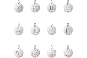 UNICRAFTALE 24 pcs Plat Rond avec 12 Pendentifs Constellation 304 en Acier Inoxydable Signe Mixte Charmes 3mm Petit Trou Signe du Zodiaque Charme pour Collier Bracelet Fabrication de Bijoux 12x1mm