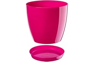B2C Plant Pot Flower 20 Colours 9 sizes Gloss Plastic Plant Pots Planter Saucer Tray Deco (16 cm/ 6.3 inch, Pink)