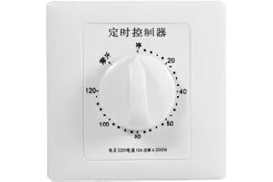 TNFEEON Temporizador, Interruptor de Temporizador Interruptor del Temporizador AC 220V, Interruptor de Temporizador de 30 Minutos/60 Minutos/120 Minutos (120 Min)