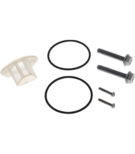 DS2002968 BorgWarner Filtre hydraulique, embrayage haldex | AUTODOC