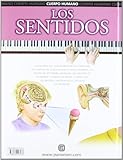 Image de LOS SENTIDOS (Cuerpo humano)