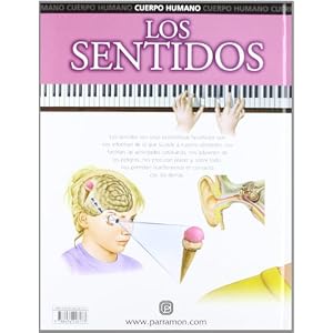 Los Sentidos
