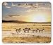 Produktbild Safari Mouse Pad, Zebras with Their Striped Coats in Savannahs Sunset Adventure Africa Wild Safari Gaming Mousepad Office Mouse Mat Cream Yellow