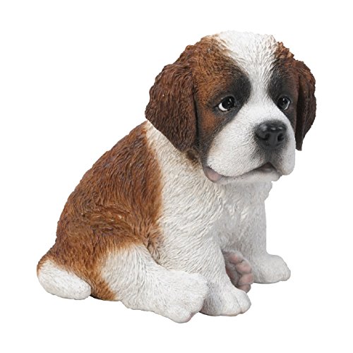 Bernhardiner Welpe Pet Pals