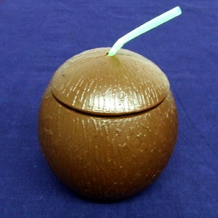 Hawai Kokosnuss Becher Blume Hawaii Tasse Strand Cup - 3