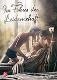 Im Fokus der Leidenschaft by L.A. Witt, Vanessa Tockner