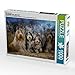 Produktbild Ein Motiv aus dem Kalender BEARDED COLLIES 2017 1000 Teile Puzzle quer