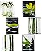 Produktbild 6 tlg. Set - Fliesensticker / Badezimmer / Wandtattoo - ECKIG - Bambus / Wellness & SPA - Steine - Sand Wasser - Fliesensticker / Badezimmer - Panorama Postersticker / Paneele - selbstklebend Fensterdeko / Deko - Mädchen Jungen Kinder - Indonesien / Feng Shui - Badezimmer Pflanze - Grünpflanze