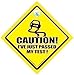 Caution I've Just Passed My test Car Sign, Caution I've Just passed My Test, Bumper Sticker, Baby on Board Sign, Driving Test , Baby on Board, Funny Car Sign, Driving Sign