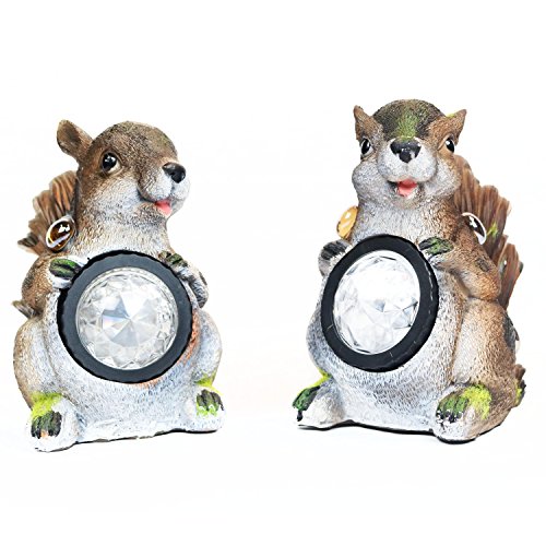 Oypla 2 x Ardilla Luces solares del jardín Desarrollado