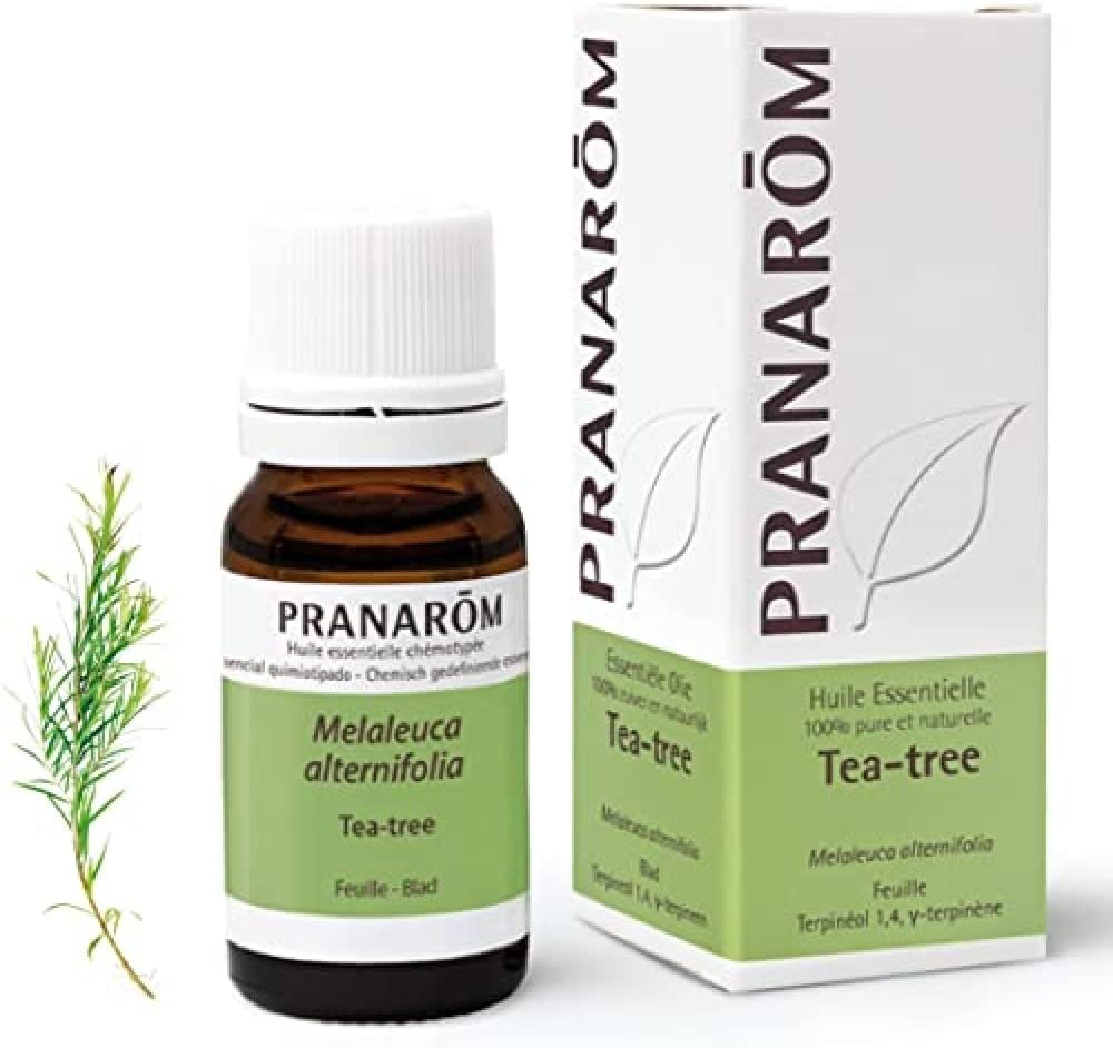 PRANARÔM Aceite Esencial Árbol del Té (Tea Tree) – Defensas Naturales – Aceite Esencial Quimiotipado HECT – 100% Puro y Natural – 10 ml