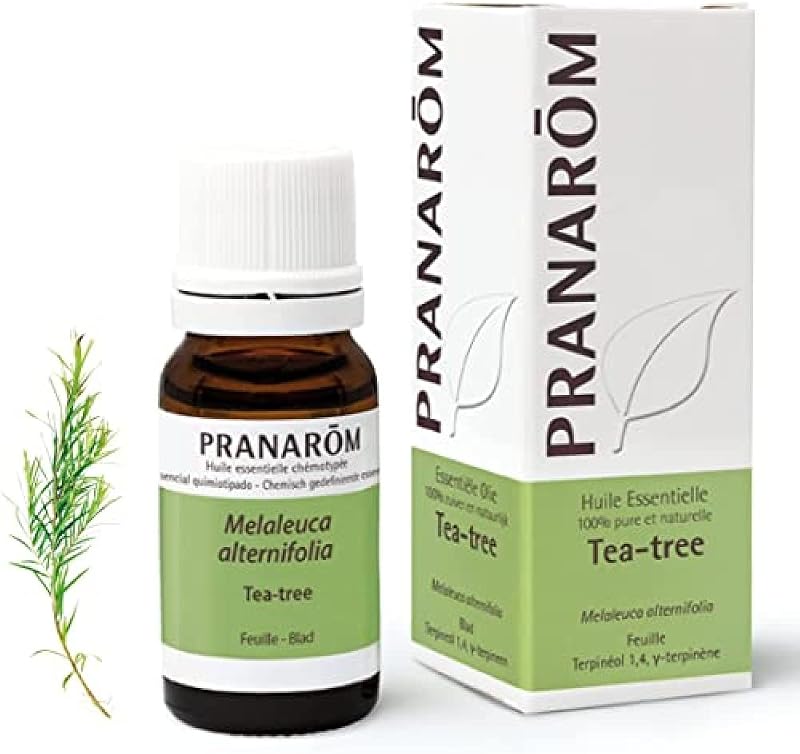PRANARÔM Aceite Esencial Árbol del Té (Tea Tree) – Defensas Naturales – Aceite Esencial Quimiotipado HECT – 100% Puro y Natural – 10 ml