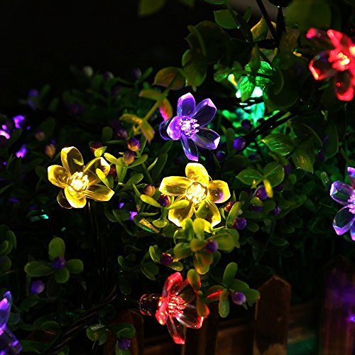 Led Solar Lichterkette Blüten, (7M) 50 LED Wasserdicht Weihnachtsbeleuchtung Außen für Garten, Bäume, Terrasse, Weihnachten, Hochzeiten, Partys, Innen- und (Mehrfarbig) - 3