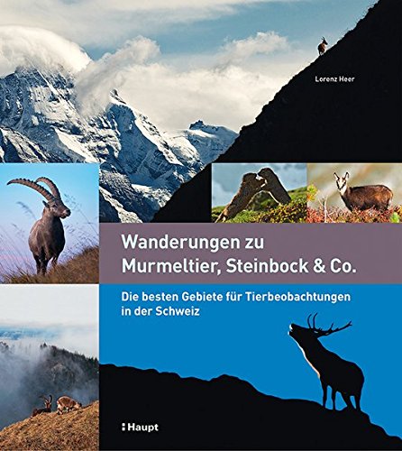 Download Wanderungen zu Murmeltier, Steinbock & Co.: Die besten Gebiete für Tierbeobachtungen in der Schweiz Download Wanderungen zu Murmeltier, Steinbock & Co.: Die besten Gebiete für Tierbeobachtungen in der Schweiz