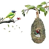 Ampliamente utilizado: se utiliza principalmente para jardinería al aire libre, familia, decoración interior y exterior, plantación de flores, regalos navideños, etc.