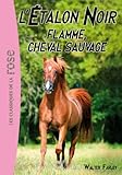 L'Étalon Noir 10 - Flamme, cheval sauvage
