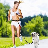Splink Hunde Joggingleine mit Ruckdämpfer Einstellbar reflektierende Bauchgurt (70-145cm), Elastische Nylonband Freihändigen Bungeeleine Hundeleine für Outdoor Joggen, Spazieren und Wandern(130-190cm dehnbar)