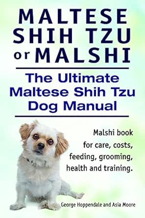 Maltese Shih Tzu Or Malshi Maltese Shih Tzu Book For Care Costs Feeding Grooming Health And Training Malshi Dog Manual English Edition Ebook Hoppendale George Moore Asia Amazon De Kindle Shop