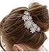 Accmart(TM) Charming Bridal Wedding Crystal Rhinestone Purple Flower Design Hair Clips Pin Comb
