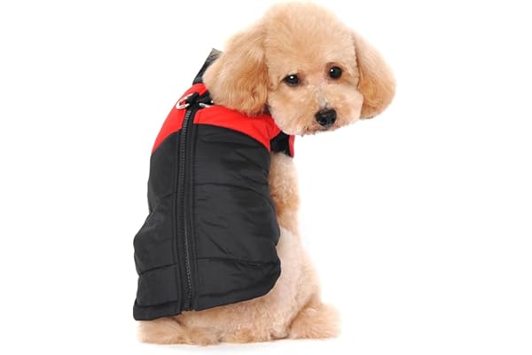 Ectkuee Petit Manteau imperméable pour Chien Veste d'hiver rembourré matelassé Doudoune pour Chien Pet Chiot vêtements Assortis Tailles et Couleurs