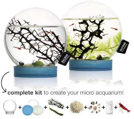 Preisvergleich Produktbild èVivo! Beachworld Ökosystem