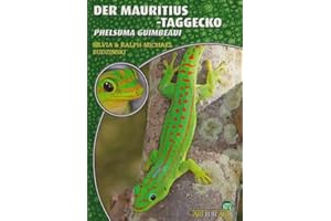 Der Mauritius-Taggecko: Phelsuma guimbeaui