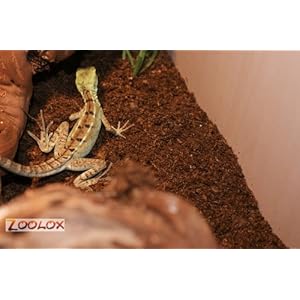 Raptoherp Jungle, Regenwalderde, Standard 25l