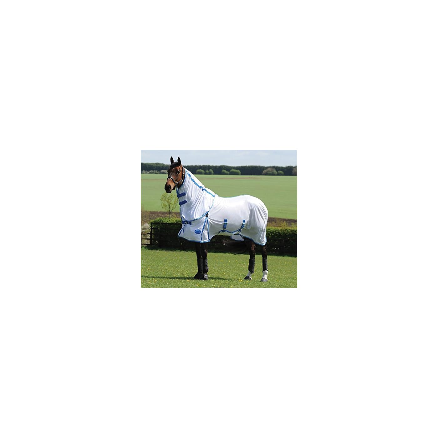 Horse ‘n’ Pony