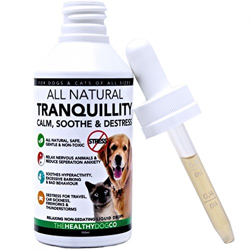 Dog Travel Tranquilizers