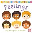 Families: A lift-the-flap board book about families : Pat-a-Cake ...
