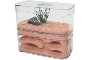 KXCR Ameisennest, AntHouse Gips Formicarium Ameisenfarm Display Box Insektenvilla Workshop Ameisen Fütterung Wissenschaft Bildungs