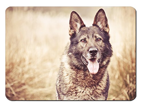 Preisvergleich Produktbild Mauspad Dog Face Design