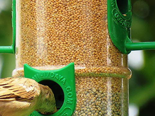 Buy Amijivdaya Small Bird Feeder With Holding Handle Transparent