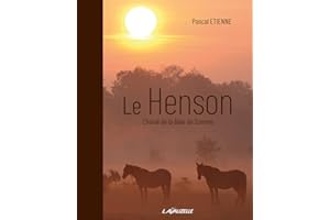 LE HENSON - Cheval de la Baie de Somme