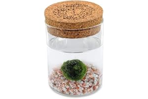 KAKI LA FELICITÀ È NELLE PICCOLE COSE Marimo Original Sughero Leggenda – Singolo (Fondale Rosa Naturale)