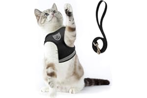 Supet Imbracatura per Gatti con Guinzaglio Gilet Riflettente in Nylon Morbido per Cani da Passeggio per Cani da Corsa Adatto a Gatti, Cuccioli, Piccoli Animali Domestici