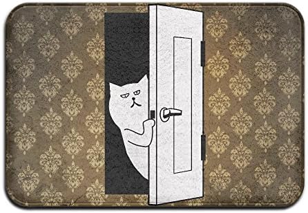 Cute Guy Open The Door Nice Doormats Indoor Door Mats