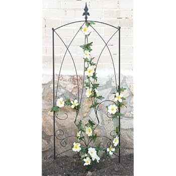 DanDiBo Clôture Gotha Support pour plantes grimpantes ...