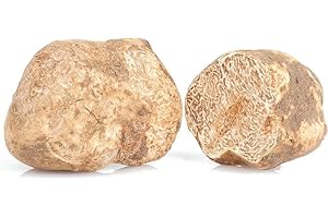 AGRITASTE 50 g Tartufo Bianco Pregiato Fresco, pezzattura MEDIA 5-15g (Tuber magnatum Pico) origine ITALIA.