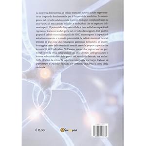 Cellule staminali neurali adulte