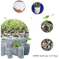 Bolsas para plantas | Amazon.es
