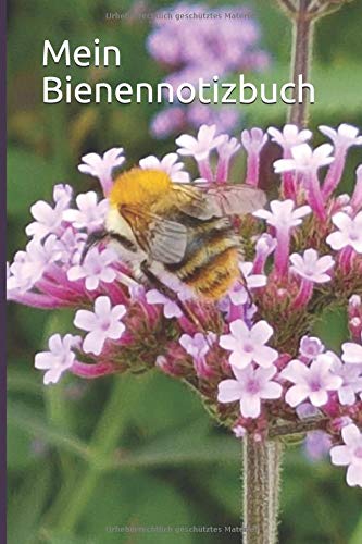 Preisvergleich Produktbild Mein Bienennotizbuch: Notizbuch für Imker und Bienenfreunde, dot Grid, 120 Seiten
