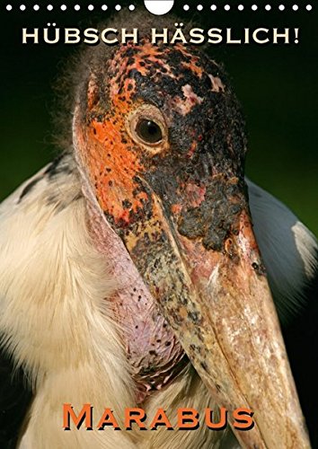 Hübsch hässlich! Marabus (Wandkalender 2017 DIN A4 hoch): Mrabus - Fasziniernde Charaktervögel (Monatskalender, 14 Seiten ) (CALVENDO Tiere)
