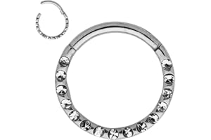 365 Sleepers G23 Anillo de segmento con bisagras de gema unisex de titanio Helix Tragus Septum Clicker Nariz Labio Aro Pendiente Piercing para el cuerpo Joyería