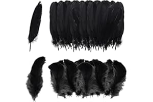 ZBHDEYG 200 plumas negras, adornos de plumas para manualidades, decoración de plumas, se pueden utilizar para hacer accesorios de ropa, sombreros y decoraciones de fiesta, etc.