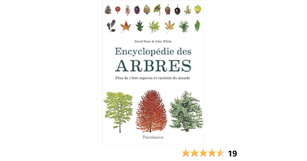 Amazon Fr Encyclopedie Des Arbres White John More David Beauvais Michel Soudais Stephanie Suisse Thibaut Livres