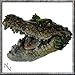 Produktbild DEADLY AMBUSH CROCODILE ALLIGATOR ORNAMENT WILLOW HALL NEMESIS NOW by Nemesis Now